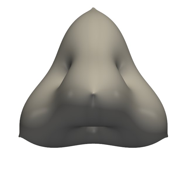 The printed shape